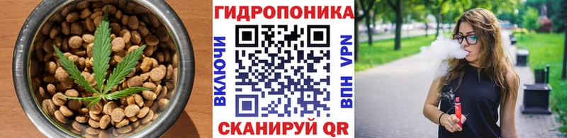 Купить где  Суджа  Canna-Cookies марихуана 