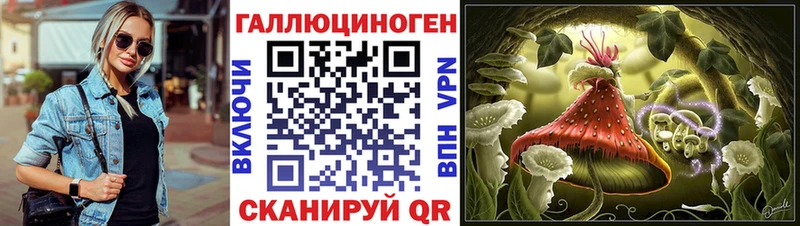 Купить  Суджа  Галлюциногенные грибы Psilocybine cubensis 