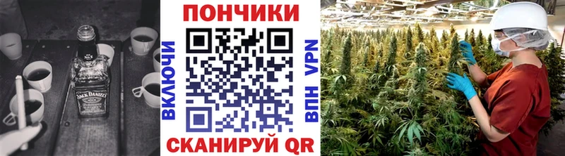 Каннабис семена  Купить закладки  Суджа 